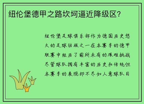 纽伦堡德甲之路坎坷逼近降级区？